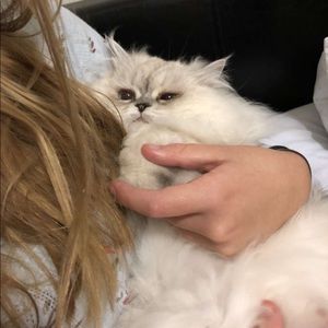 Meet your Posher, Brooke